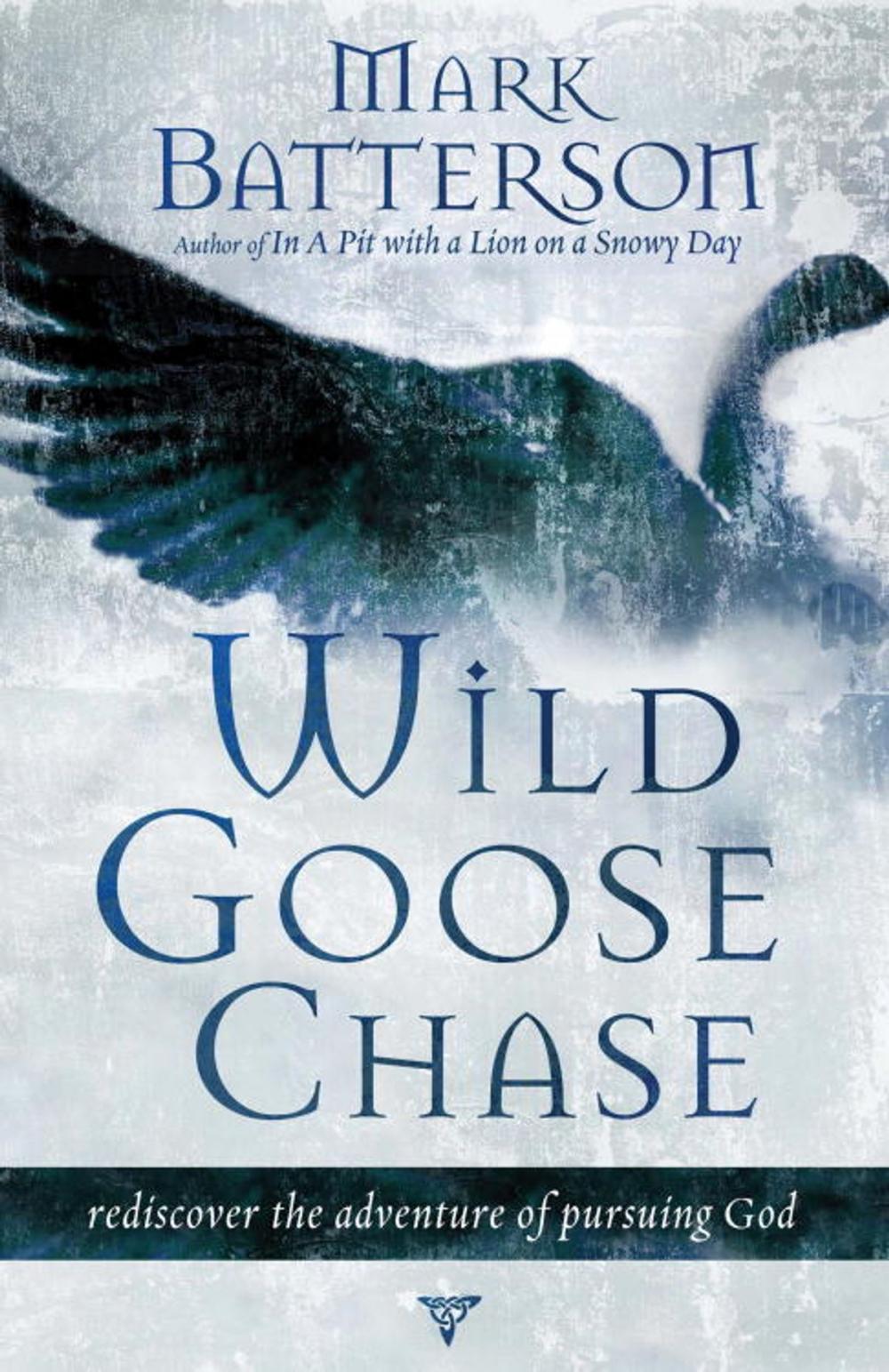 Big bigCover of Wild Goose Chase