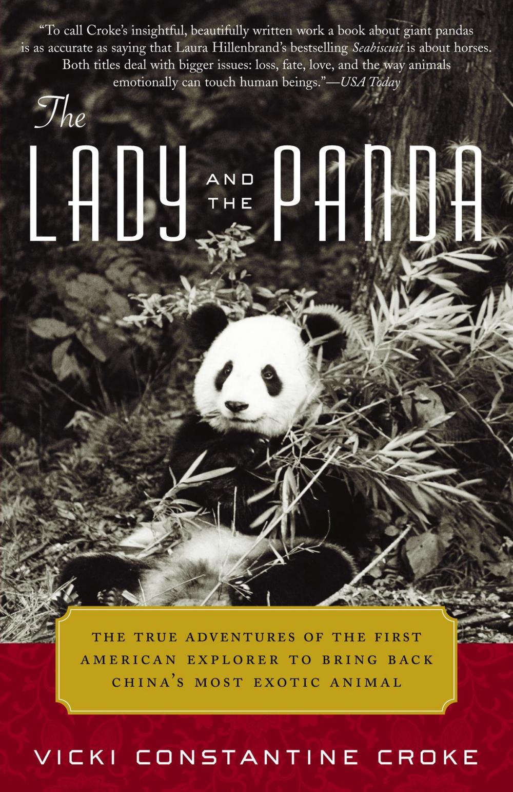 Big bigCover of The Lady and the Panda