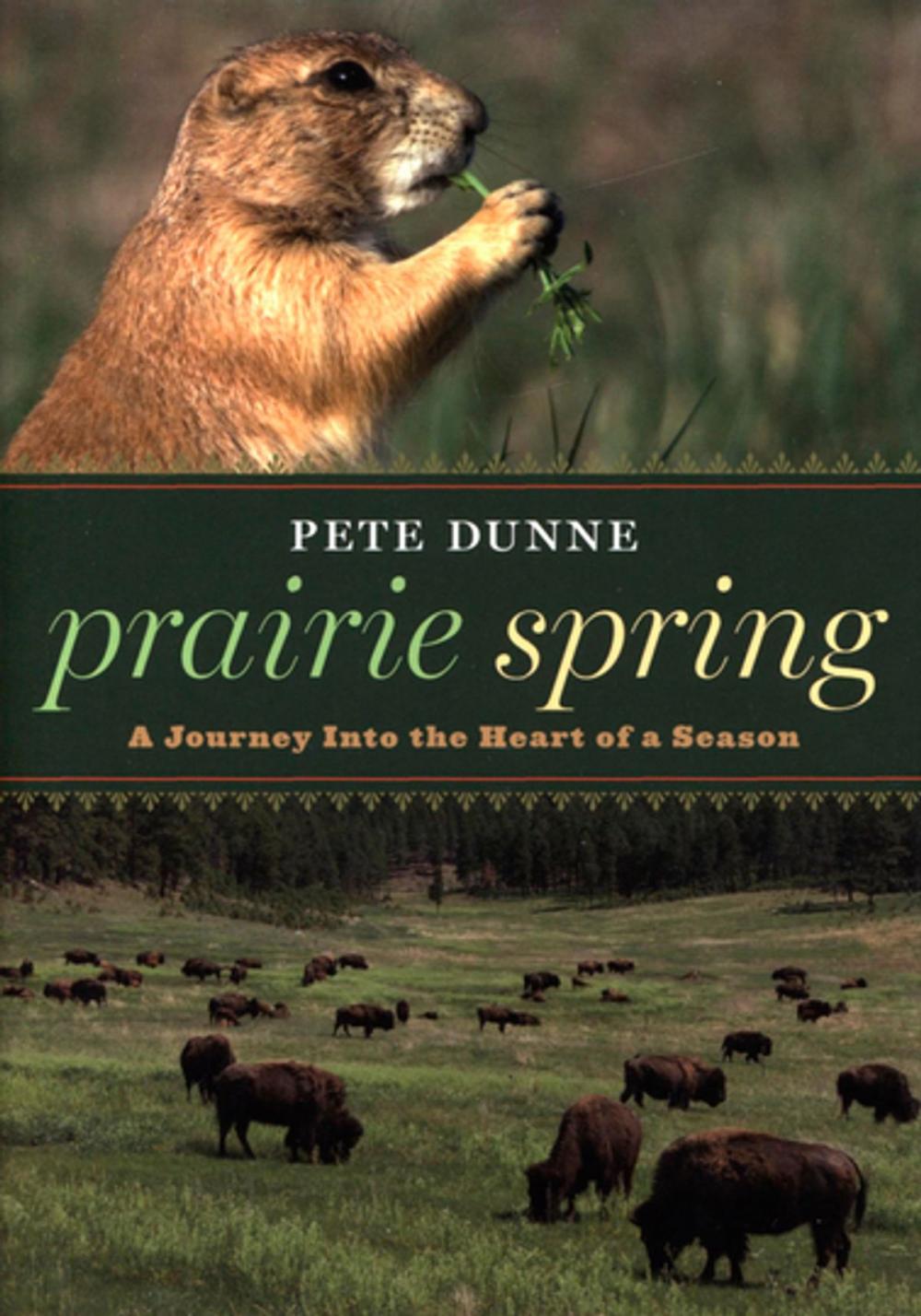 Big bigCover of Prairie Spring