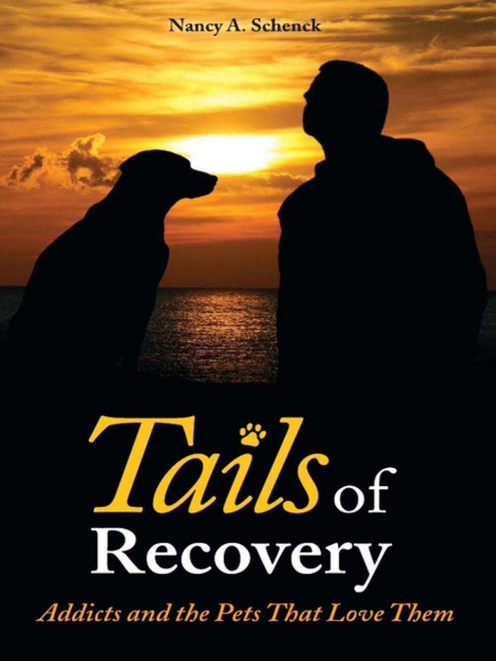 Big bigCover of Tails of Recovery