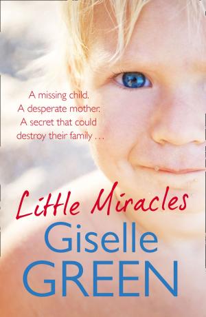 Cover of the book Little Miracles by Alan Parker