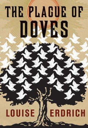 Cover of the book The Plague of Doves by Barb Johnson