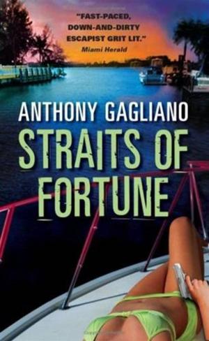 Cover of the book Straits of Fortune by Heather Newton
