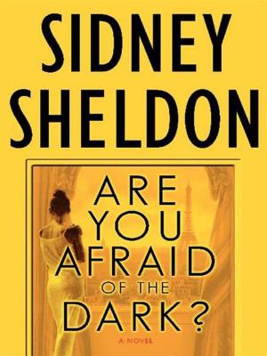 Cover of the book Are You Afraid of the Dark? by Annie Dillard
