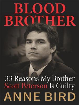 Book cover of Blood Brother