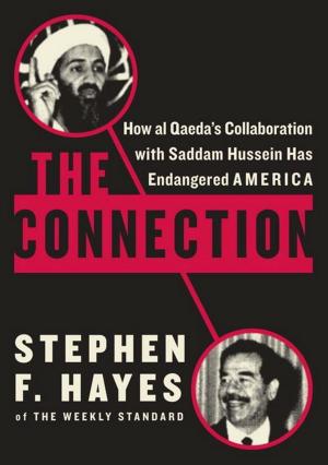 Cover of the book The Connection by Daniel Bergner