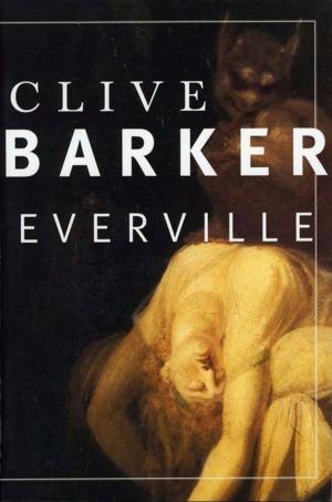 Cover of the book Everville by David Skinner