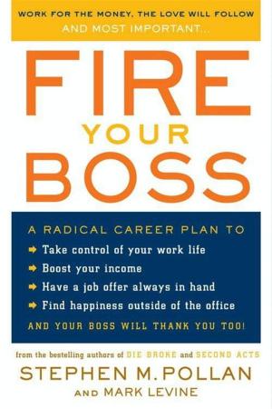 Cover of the book Fire Your Boss by James Steele