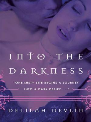 Cover of the book Into the Darkness by Leslie Sbrocco