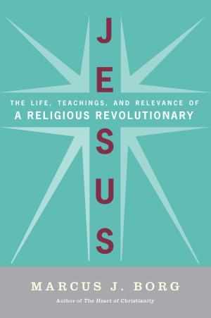 Cover of the book Jesus by John Shelby Spong