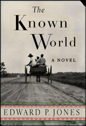 Cover of the book The Known World by Harlan Steinbaum, Michael Steinbaum, Dave Conti
