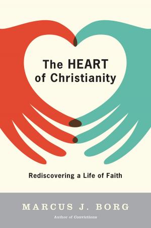 Cover of the book The Heart of Christianity by Erwin Raphael McManus