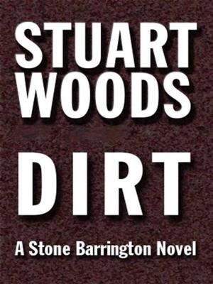 Cover of the book Dirt by Melissa Marr