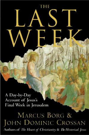 Cover of the book The Last Week by Julie Galambush