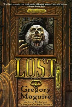 Cover of the book Lost by Dorothea Benton Frank