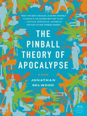 Cover of the book The Pinball Theory of Apocalypse by Melissa Marr