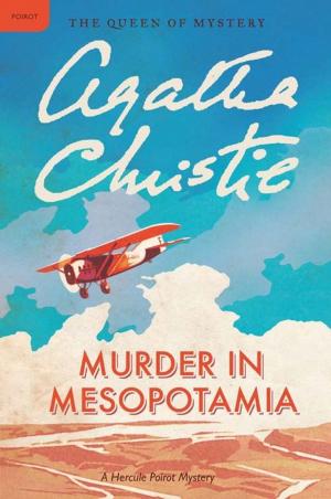 Cover of the book Murder in Mesopotamia by Gregory Maguire