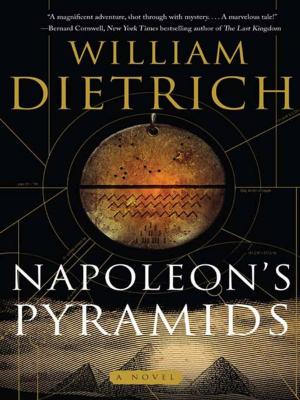 Book cover of Napoleon's Pyramids