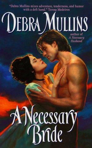 Cover of the book A Necessary Bride by Laura W. Nathanson