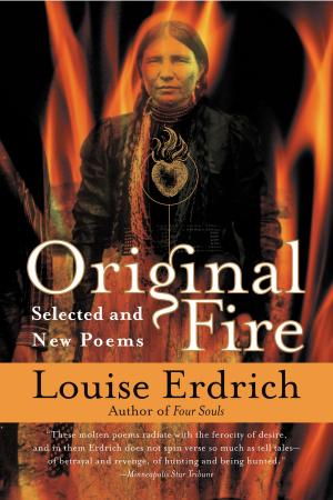 Book cover of Original Fire