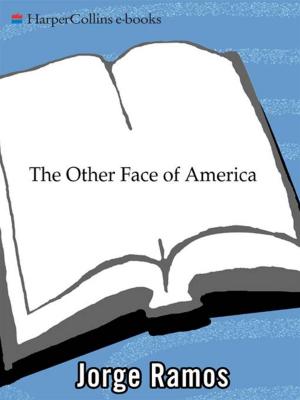 Cover of The Other Face of America