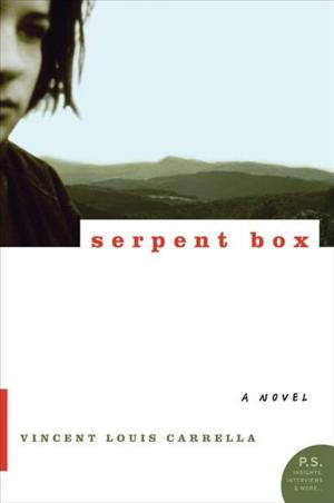 bigCover of the book Serpent Box by 