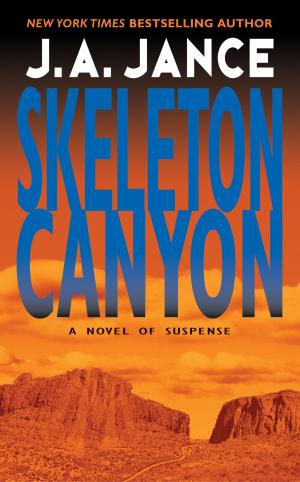 Book cover of Skeleton Canyon