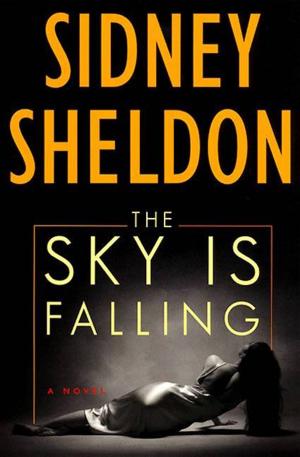 Cover of the book The Sky Is Falling by Jan Guillou