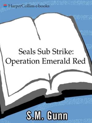 Cover of the book SEALs Sub Strike: Operation Emerald Red by Jackie French