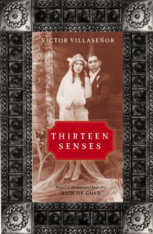 Cover of the book Thirteen Senses by Jillian Venters