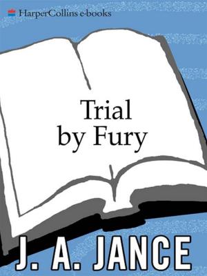 Book cover of Trial By Fury