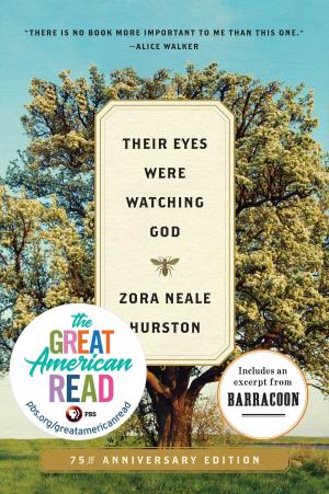 Cover of the book Their Eyes Were Watching God by Nadine Haobsh