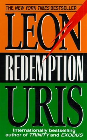 Cover of the book Redemption by Frank Delaney