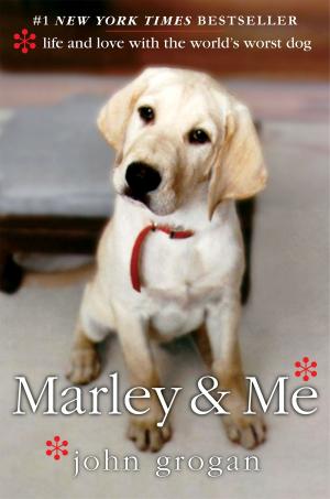 Cover of the book Marley & Me by James Rollins