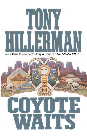 Cover of the book Coyote Waits by Scott Bittle, Jean Johnson
