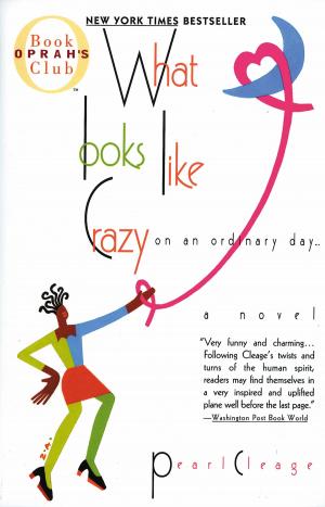 Cover of the book What Looks Like Crazy On an Ordinary Day by Dan Hampton