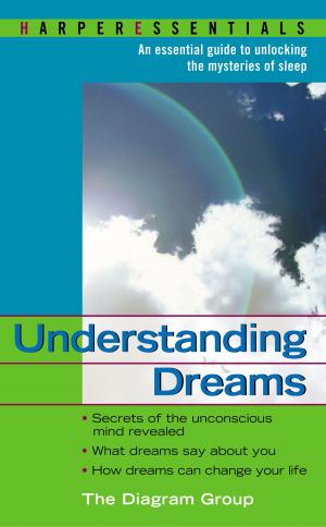 Cover of the book Understanding Dreams by Terry Pratchett, Stephen Briggs