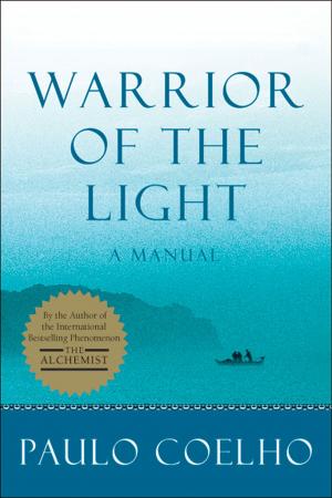 Cover of the book Warrior of the Light by David Gibson