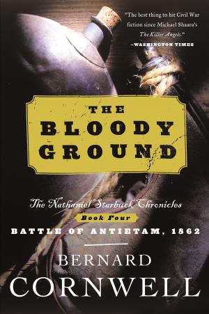 Cover of the book The Bloody Ground by Christopher Hallowell