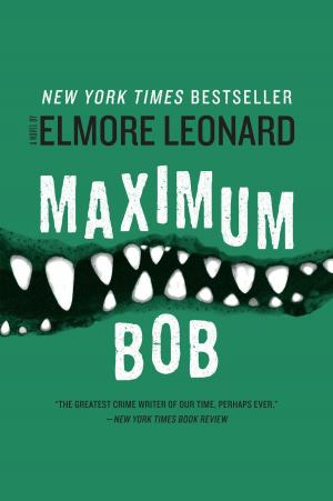 Cover of the book Maximum Bob by Laura Lippman