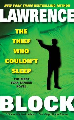 Cover of the book The Thief Who Couldn't Sleep by Terry Pratchett