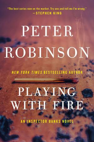 Cover of the book Playing with Fire by Elizabeth Peters