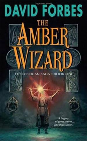 Cover of the book The Amber Wizard by Anita Diamant, Howard Cooper
