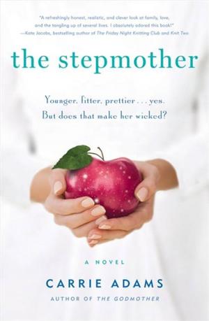 bigCover of the book The Stepmother by 