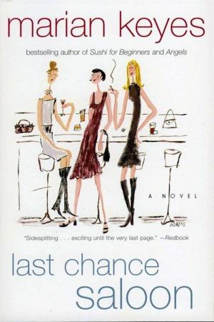 Cover of the book Last Chance Saloon by Riya Anne Polcastro