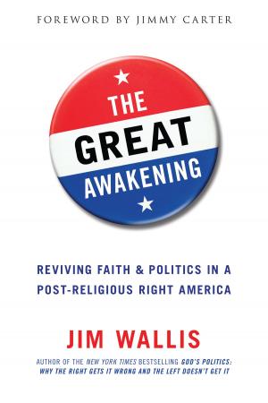 Cover of the book The Great Awakening by Rob Bell