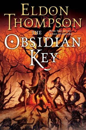 Cover of the book The Obsidian Key by Jose Raul Bernardo