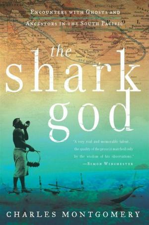 Cover of the book The Shark God by Julie Burstein, Kurt Andersen