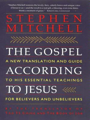 Cover of the book The Gospel According to Jesus by Christie Mellor