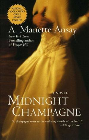 Cover of the book Midnight Champagne by Malena Watrous